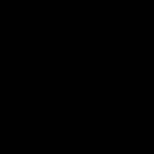 Meet your Posher, Paige